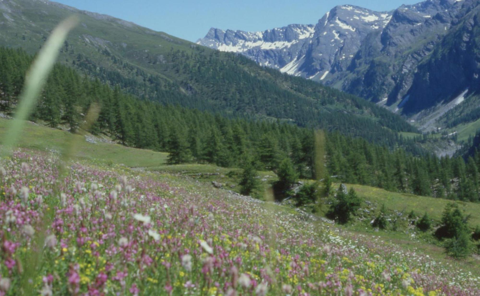 Hotel Sud Ovest Colle Colle Sestriere Zewnętrze zdjęcie